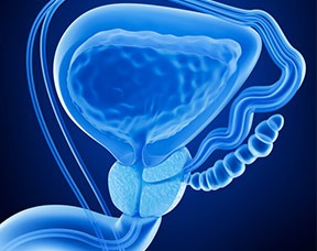 Fatty Acids Tied To Prostate Cancer Growth, Study Reveals Thumbnail