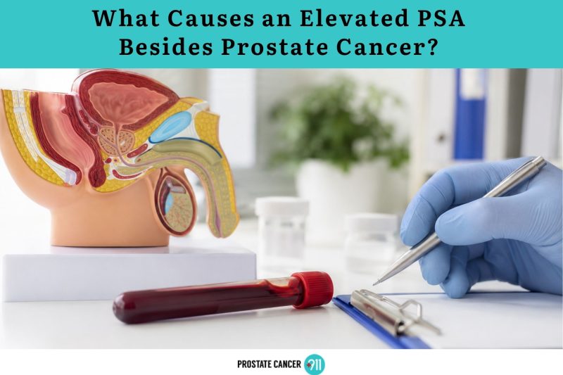 What Causes an Elevated